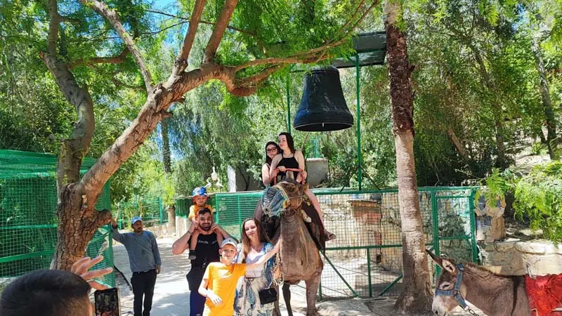 belek zoo recommendation